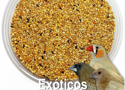 Mixtura Exóticos 1KG