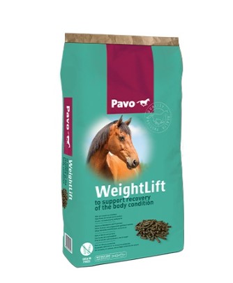 PAVO WEIGHT LIFT 20KG