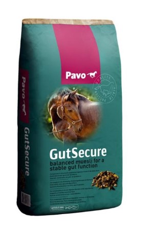 PAVO GUTSECURE MUESLI 15KG 